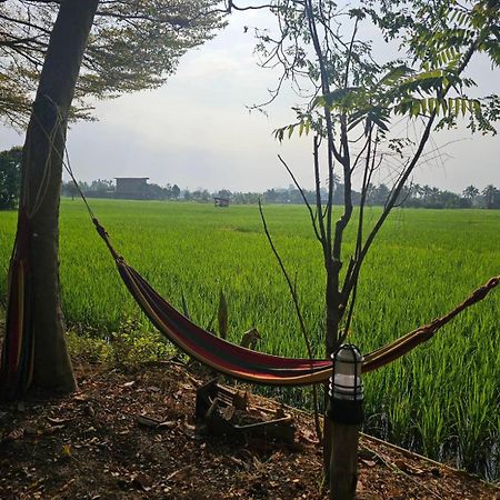 Tung Tong Homestay & Camping Mae Rim Esterno foto