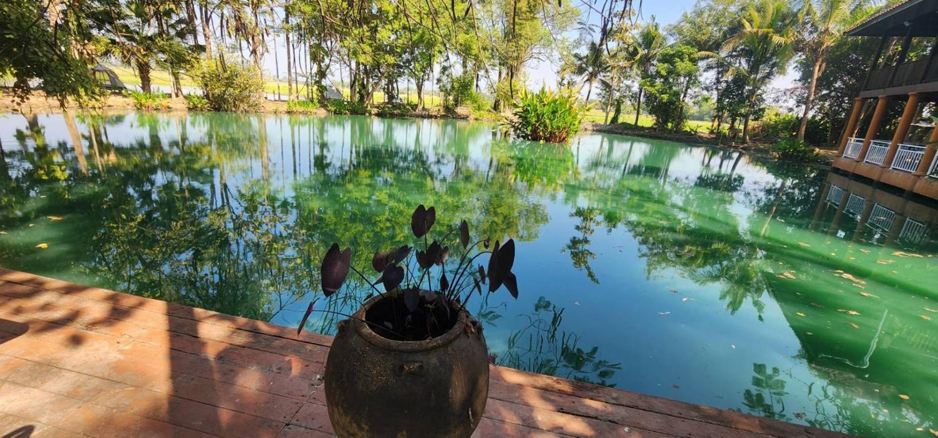 Tung Tong Homestay & Camping Mae Rim Esterno foto