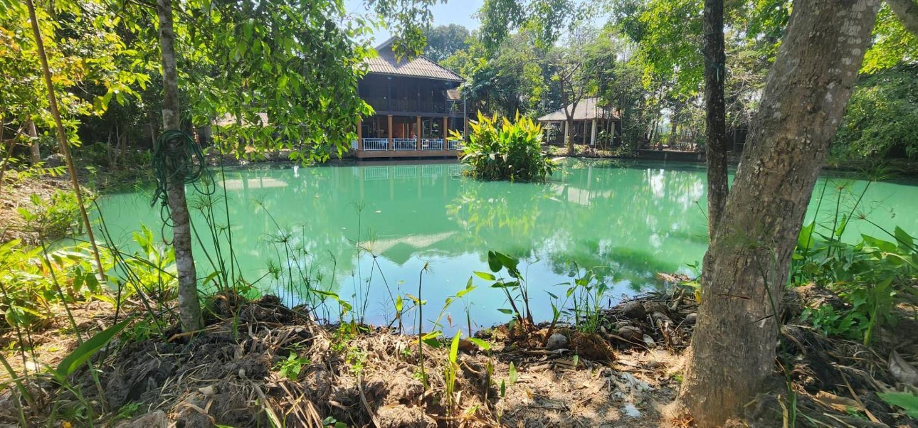 Tung Tong Homestay & Camping Mae Rim Esterno foto