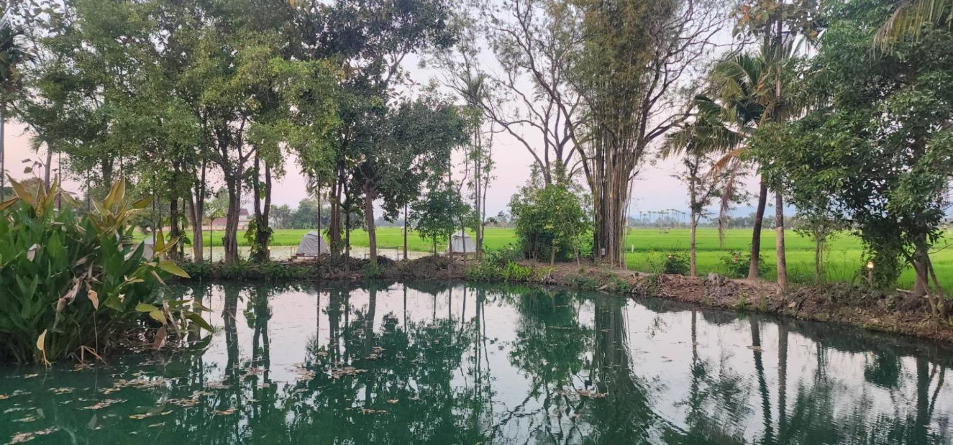 Tung Tong Homestay & Camping Mae Rim Esterno foto