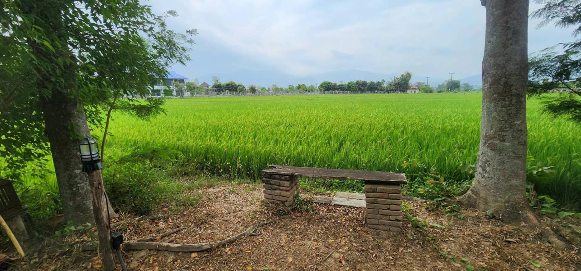 Tung Tong Homestay & Camping Mae Rim Esterno foto