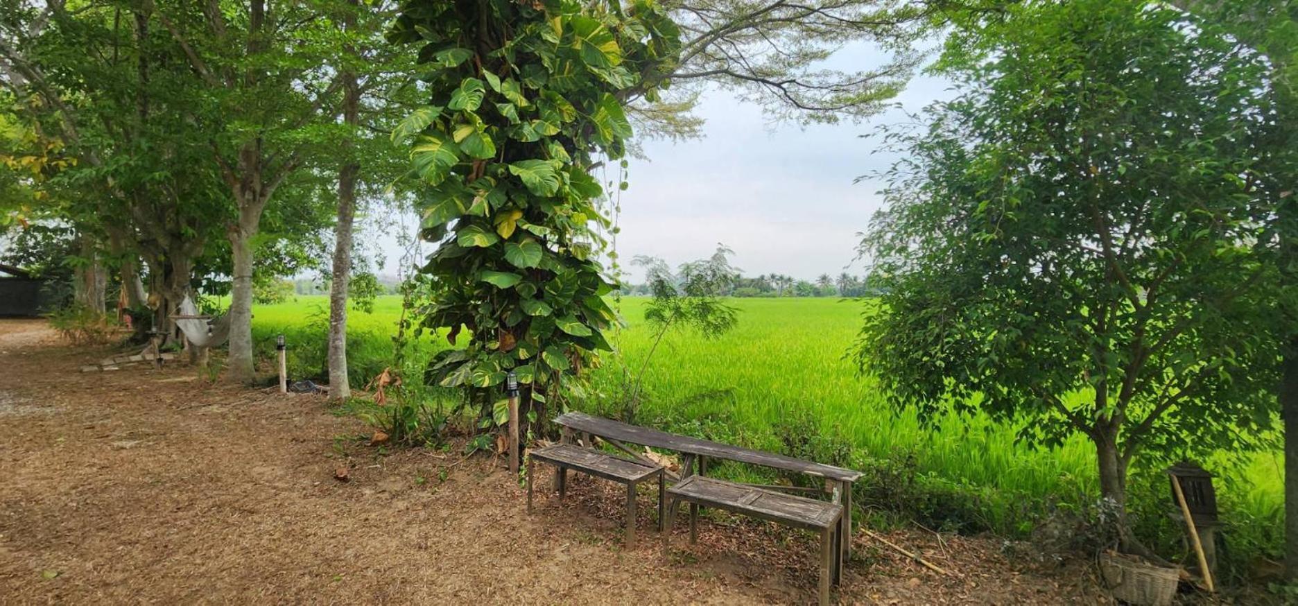 Tung Tong Homestay & Camping Mae Rim Esterno foto