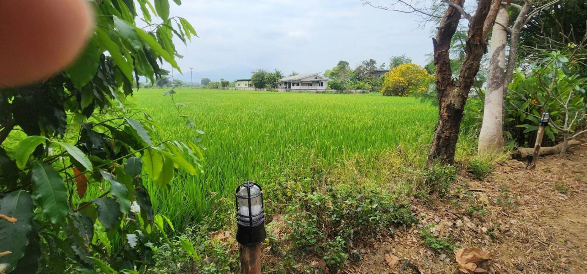 Tung Tong Homestay & Camping Mae Rim Esterno foto