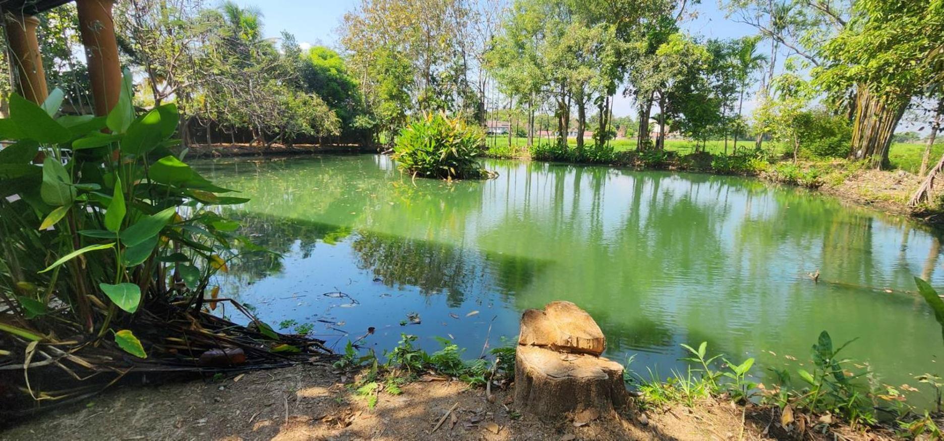 Tung Tong Homestay & Camping Mae Rim Esterno foto