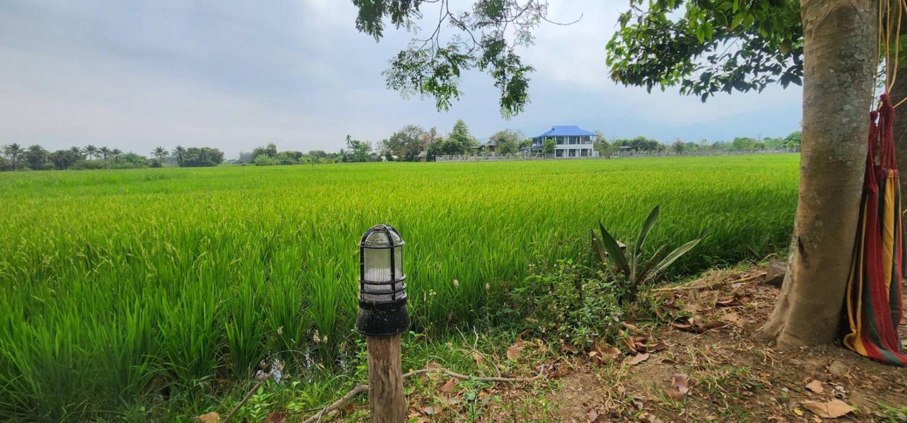 Tung Tong Homestay & Camping Mae Rim Esterno foto
