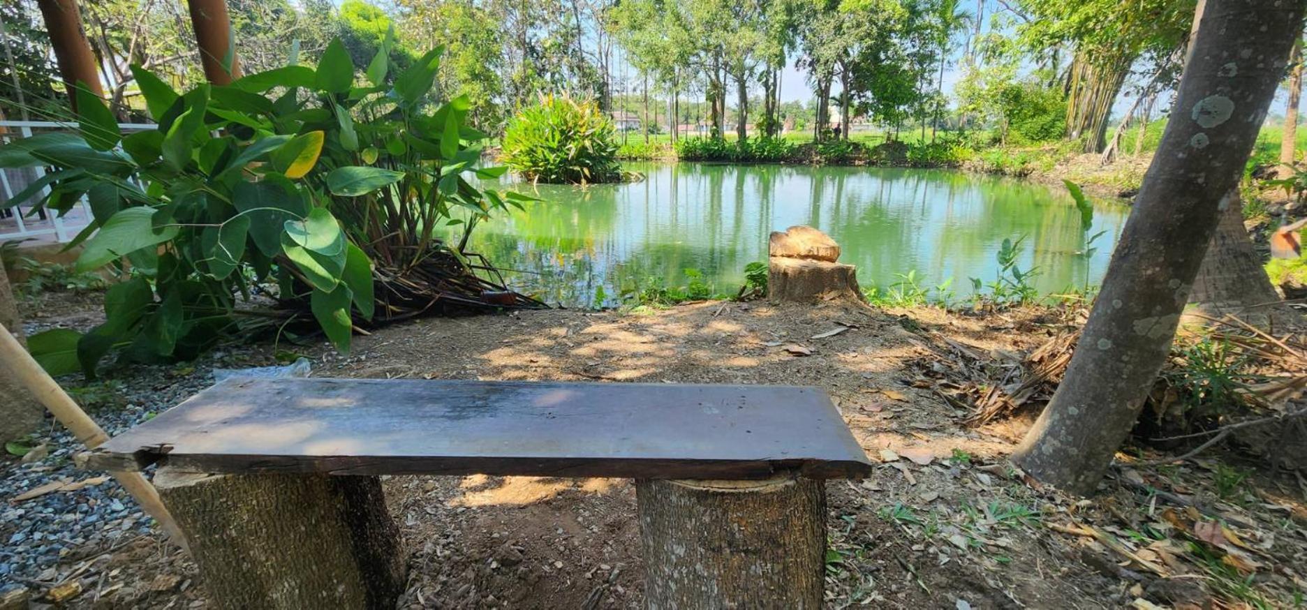 Tung Tong Homestay & Camping Mae Rim Esterno foto